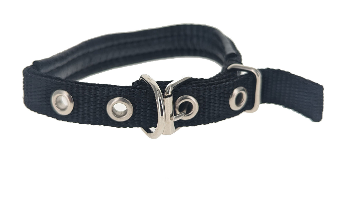 Conjunto de 3 correas, arnés y collar para perros pequeños de color negro