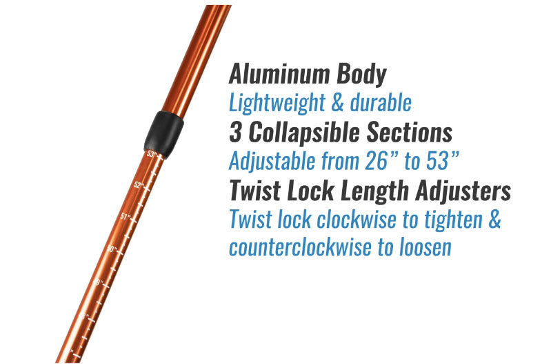 Telescoping Trekking Pole Set With Twist Lock & Carrying Case